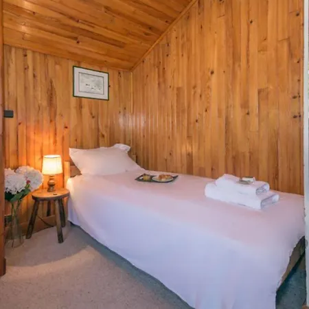 Montblanc Alpine & Sauna Retreat - Happy Chalet *